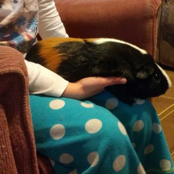 Meet your Posher, Kay - Picture 6 of 8